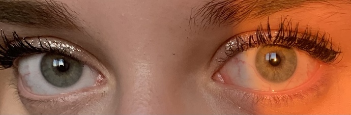 What Eye-Color should I put on my ID?