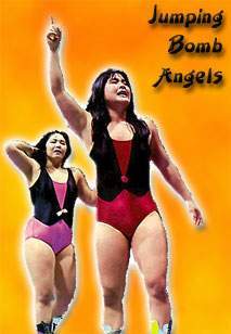 Elite 8 - World Wrestling Entertainment: Who is the better tag team combination in World Wrestling Entertainment History?