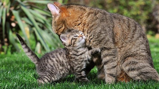 Anyone wish their mothers a Happy Mother's Day?