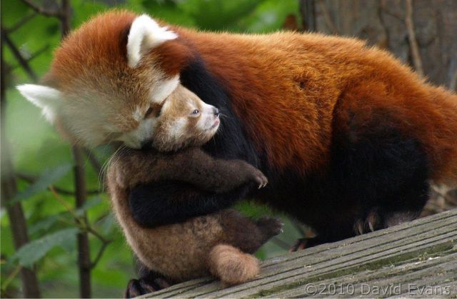 Can you post a fun picture of a mother and their children for mothers day?