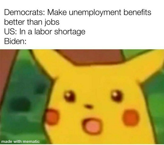 There are now more job openings in the United States than there have been in 20 years. So why does Biden keep paying people more not to work?