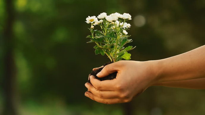 Whats something nice that you did for someone, without expecting anything in return?