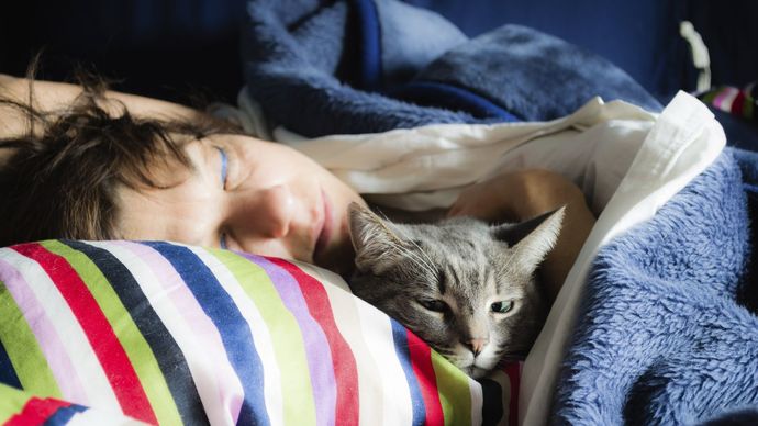 Do you usually sleep with or cuddle with your Cat or Dog in bed?