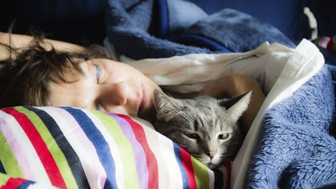 Do you usually sleep with or cuddle with your Cat or Dog in bed?