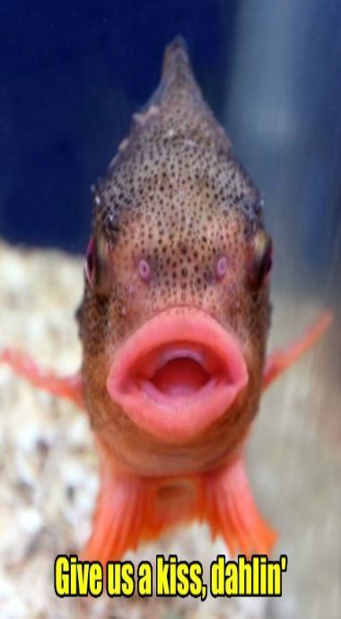 Do you consider these people weird?