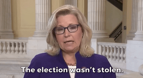 Do you see Liz Cheney as the last normal, intelligent, & non-sell-out republican in America who refused to drink the Orange Kool-Aid?