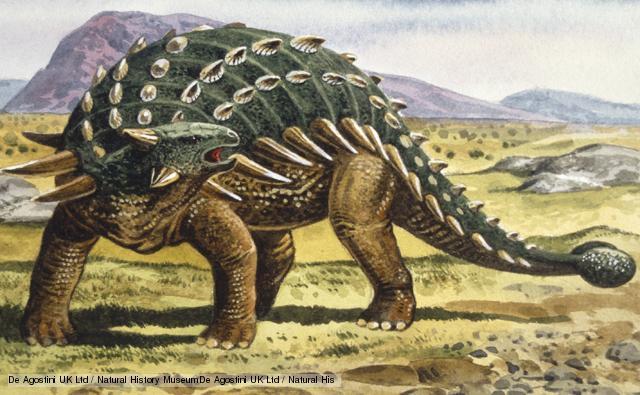 What type of Dinosaur is your favorite?