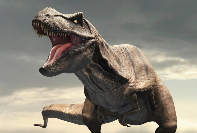 What type of Dinosaur is your favorite?
