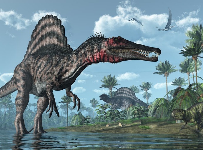 What type of Dinosaur is your favorite?