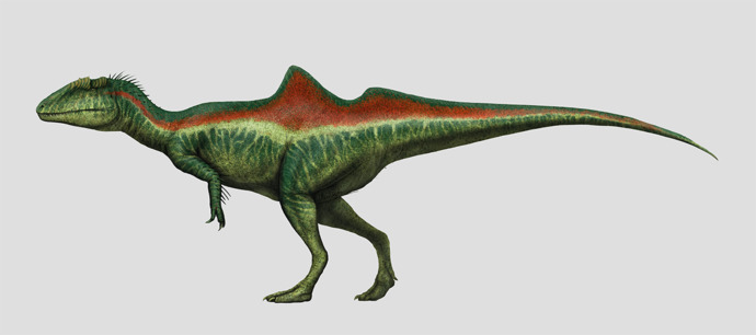What type of Dinosaur is your favorite?