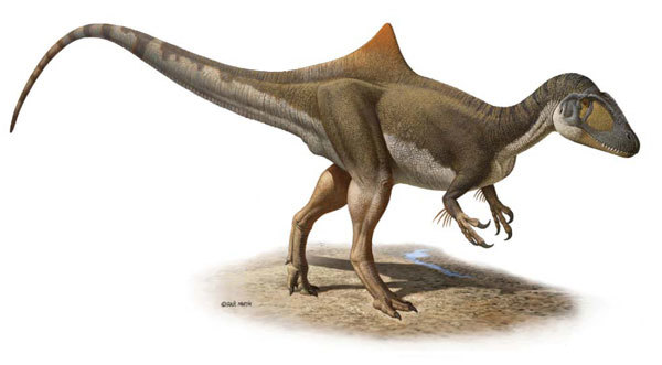 What type of Dinosaur is your favorite?