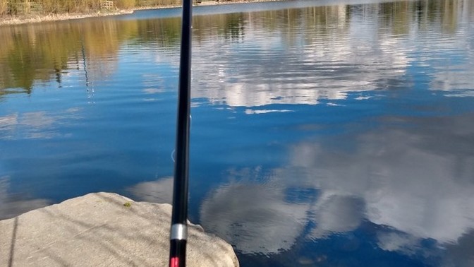 What do you think of this shot I took while fishing?