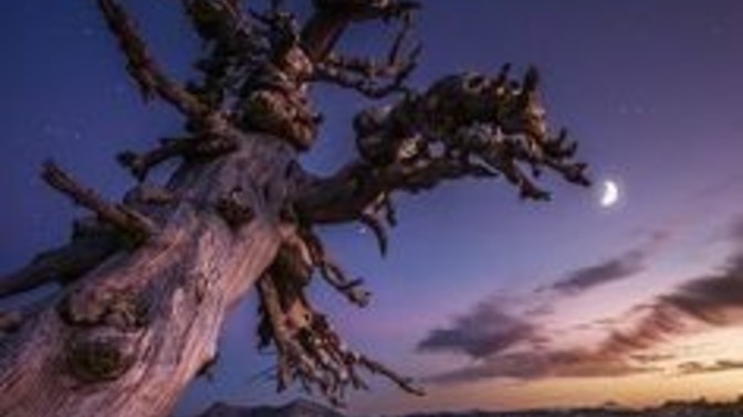 Have you ever considered unplugging from the world for a week or more?