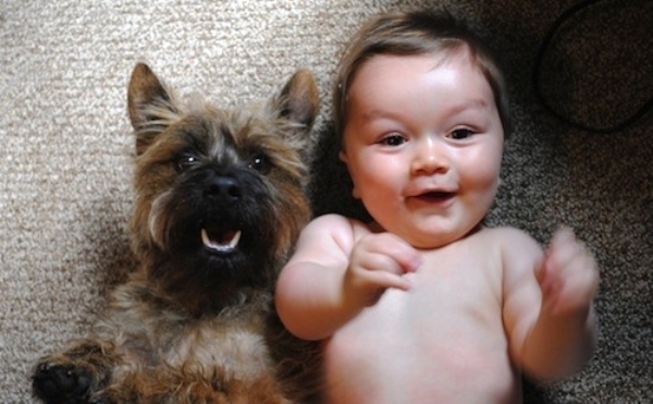 Would you prefer to have kids someday or just simply get a puppy? Or both?