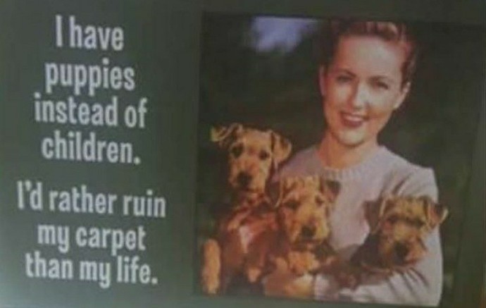 Would you prefer to have kids someday or just simply get a puppy? Or both?