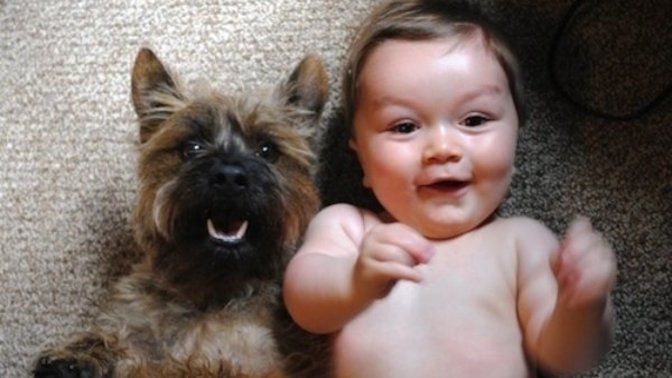 Would you prefer to have kids someday or just simply get a puppy? Or both?