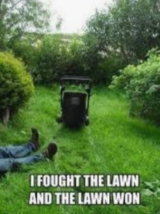 Swear that was me other day cutting the backyard😱