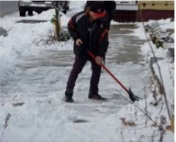 Which Do You Dislike More: Cutting The Grass Or Shoveling The Snow?