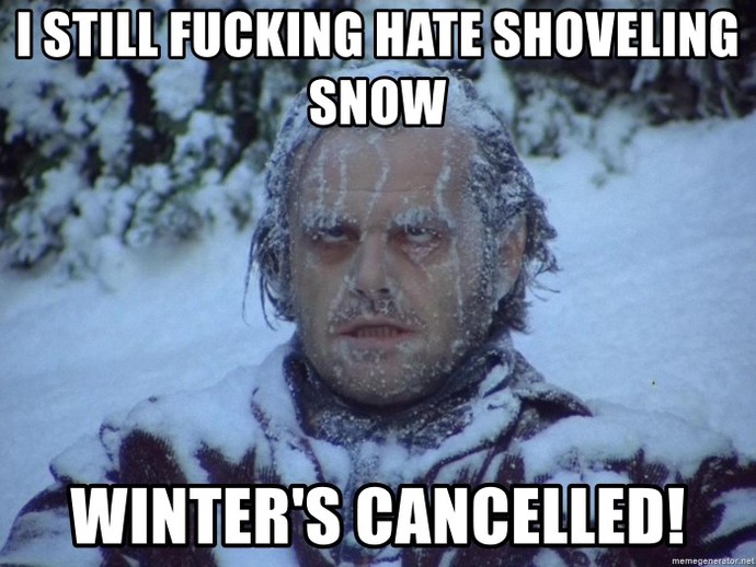 Which Do You Dislike More: Cutting The Grass Or Shoveling The Snow?