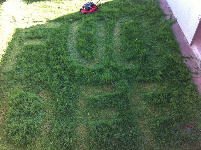 Which Do You Dislike More: Cutting The Grass Or Shoveling The Snow?