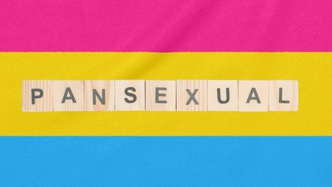 I fell for a guy who professed to be pansexual. What moves should I make?