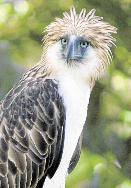 My bad hair day. Lol 