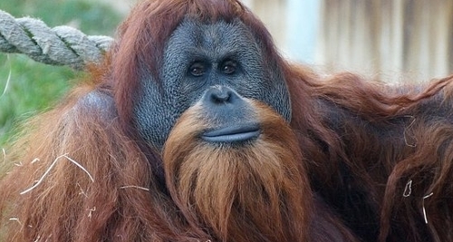 This is on a good day.