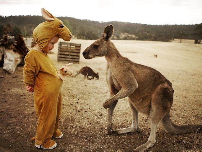 Give me a picture of an animal that looks like you? :) ?