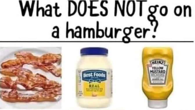 What does NOT go on a hamburger?