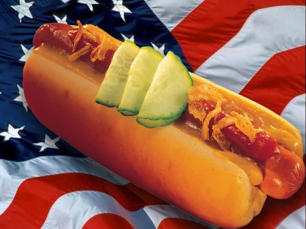 Which do you prefer: hot dogs or hamburgers?
