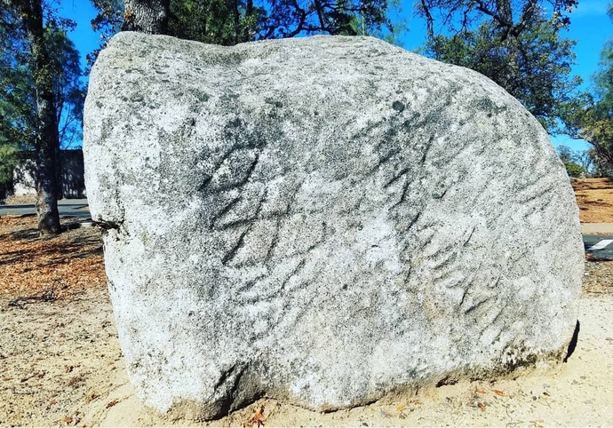What's the oldest thing in your town?