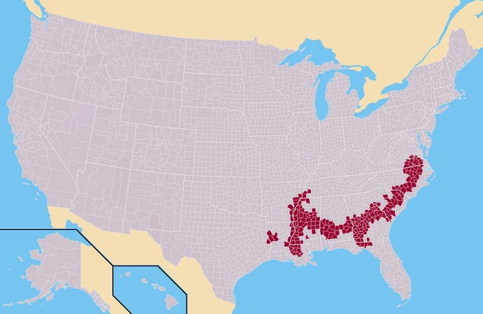 Why are people in the United States so obsessed with race? Do you think they are?