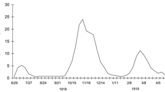 Do you think the "Herd Immunity" strategy (doing nothing) would have led to far more new and agressive strains of COVID-19?