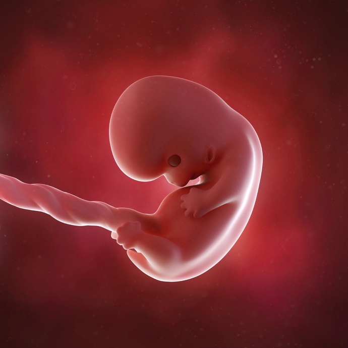 If a fetus is considered as having life at conception, then shouldn’t I be able to take out life insurance on my unborn baby?