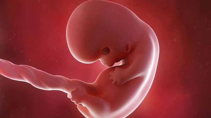 If a fetus is considered as having life at conception, then shouldn’t I be able to take out life insurance on my unborn baby?
