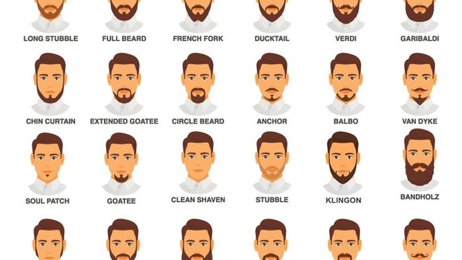What kind of beard is considered most attractive?