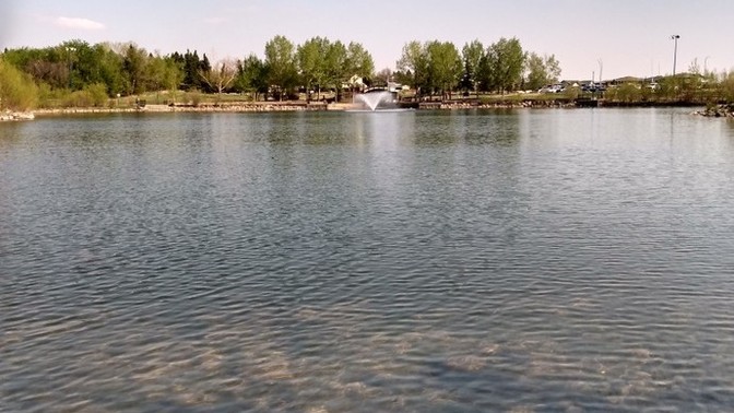 What do you think of this photo I took while fishing 🎣?