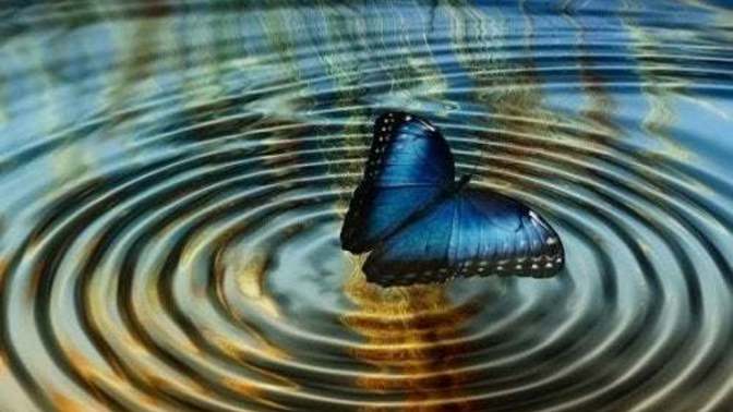 Do you believe in the saying "Everything happens for a reason"?