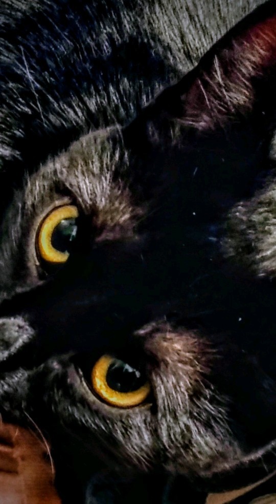 How superstitious are you?