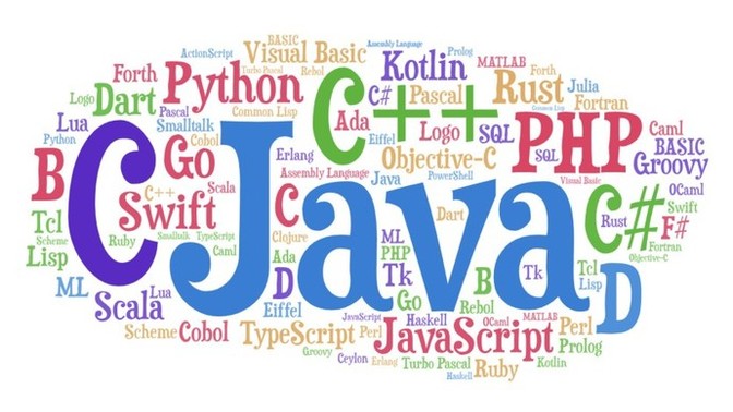 What programming language are you proficient in?