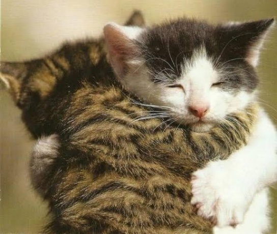 *Thank you hug, lol*