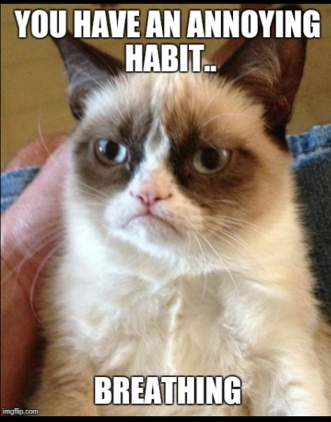 Can You Put Up With Any Annoying Habits Your Partner Has If You Love Them Or Would Some Annoying Habits Get To Be Too Much?