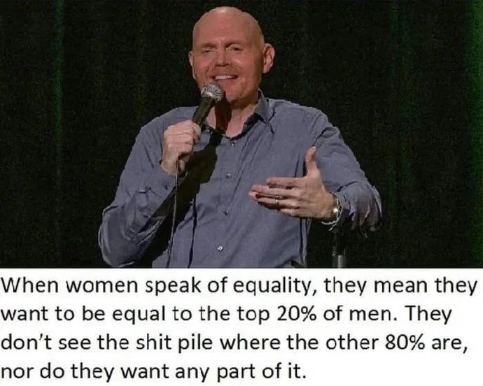 Thoughts on this statement of Bill Burr and Jordan Peterson?