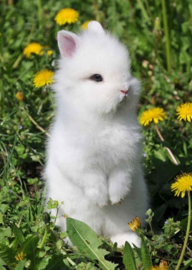 What's the cutest pic on your phone?