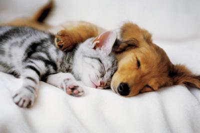 What's the cutest pic on your phone?