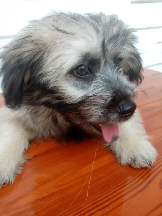What's the cutest pic on your phone?