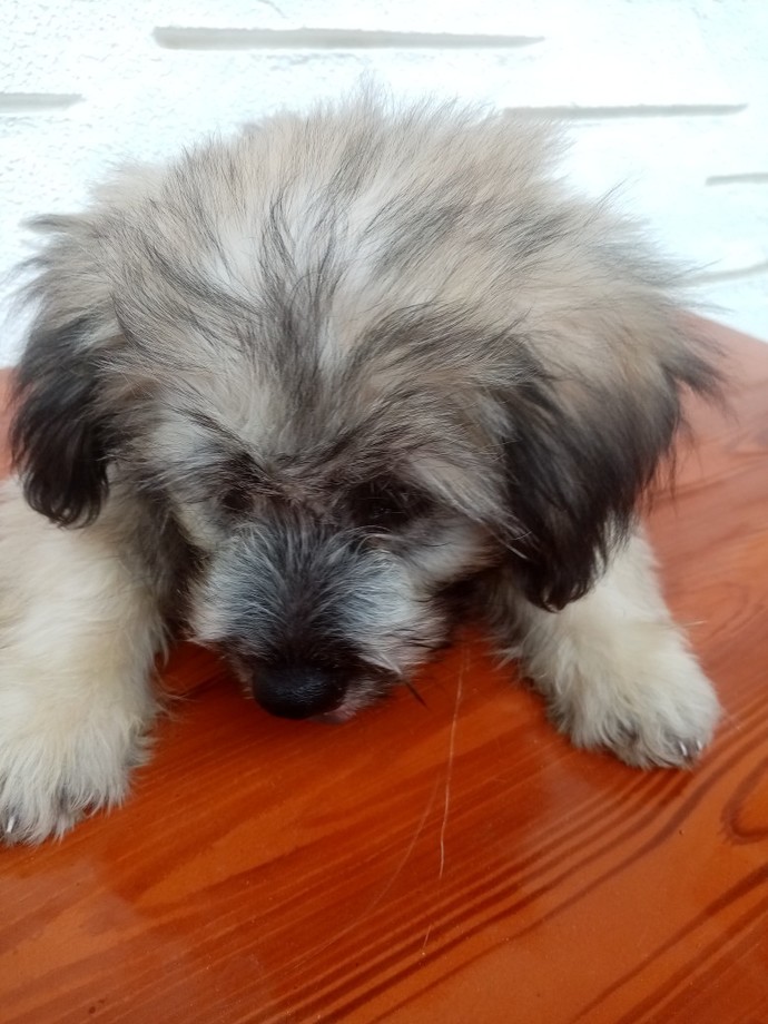 What's the cutest pic on your phone?