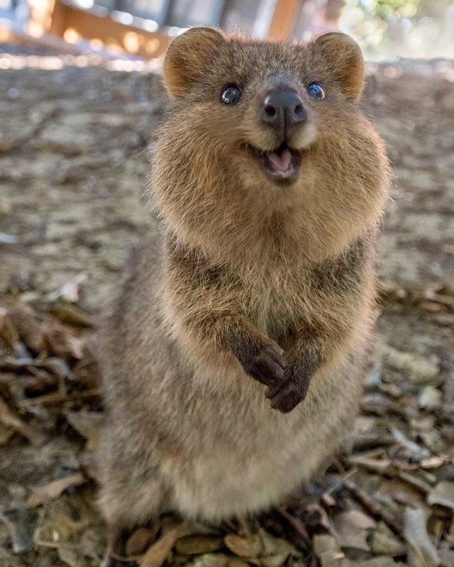 What's the cutest pic on your phone?