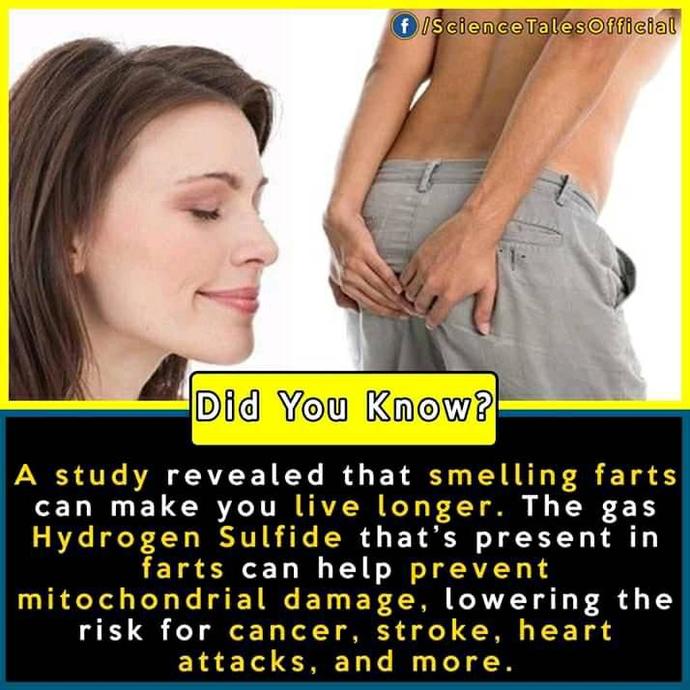 Would You Ever Smell Another Persons Farts Just To Live Longer?