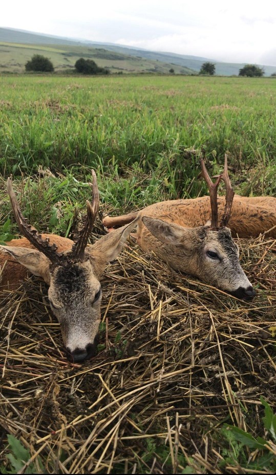 Would you date someone who hunts very often?